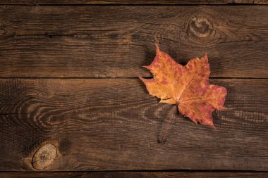 Düşen Kuru Yapraklar Tahta Plank Arkaplanında