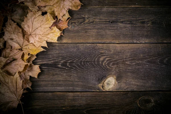 Umgestürzte Trockene Blätter Auf Holzplanke Hintergrund — Stockfoto