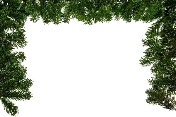Ramo Albero Natale Sullo Sfondo Bianco — Foto Stock