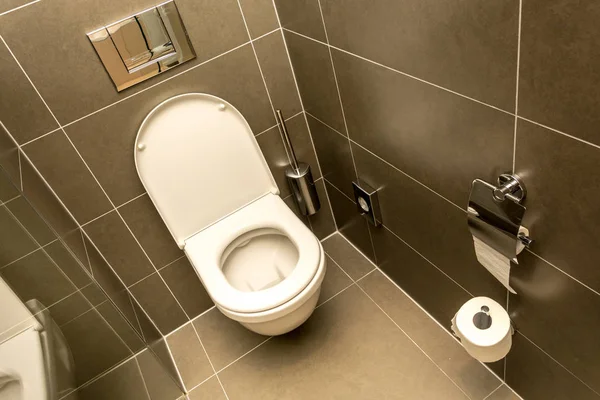 Luxus-Badezimmer verfügt über Waschbecken und Toilettenschüssel — Stockfoto