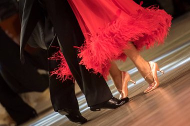 çift dans standart dans 