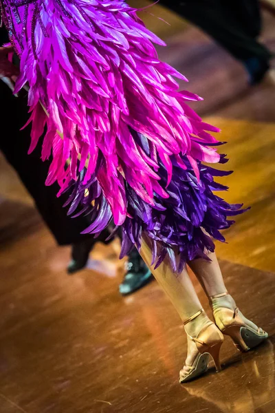 Casal dança latina dança — Fotografia de Stock