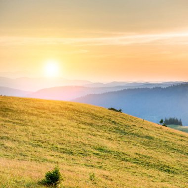Orman, yeşil çim ve dramatik gökyüzü üzerinde büyük parlayan güneş ile dağlarda günbatımı