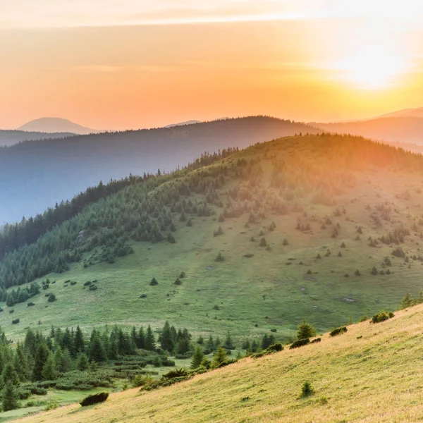 Sonnenuntergang Den Bergen Mit Wald Grünem Gras Und Großer Strahlender — Stockfoto