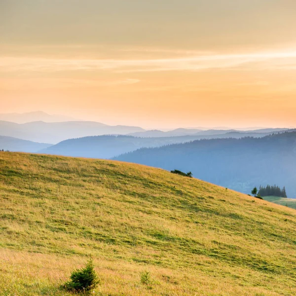 Orman, yeşil çim ve dramatik gökyüzü üzerinde büyük parlayan güneş ile dağlarda günbatımı