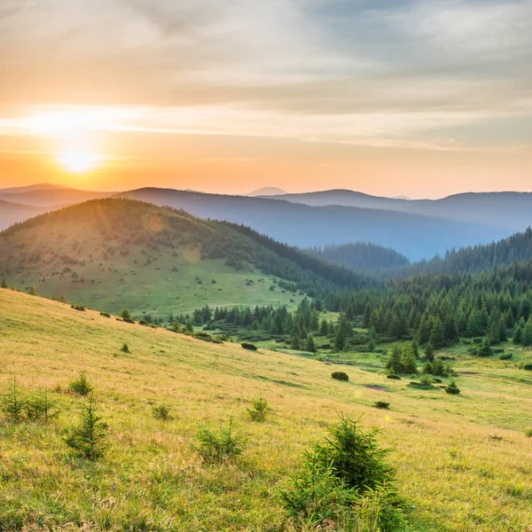 Sonnenuntergang Den Bergen Mit Wald Grünem Gras Und Großer Strahlender — Stockfoto