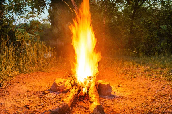 夜の森の水のそばの焚き火 — ストック写真