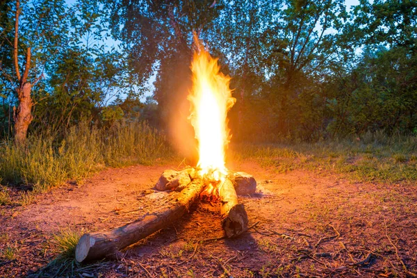 夜间森林中靠近水的篝火 — 图库照片