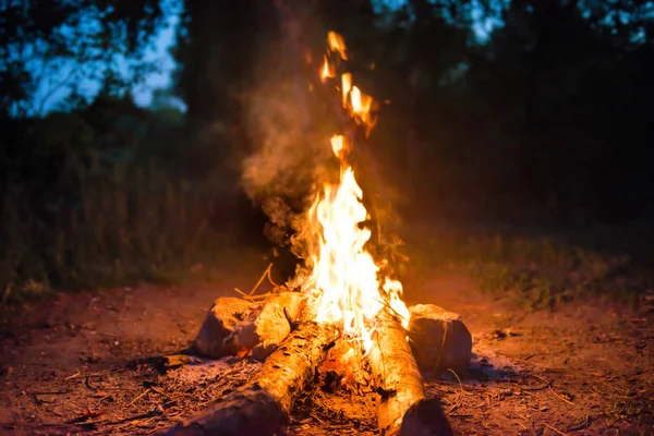 Feu Joie Près Eau Dans Forêt Nuit — Photo