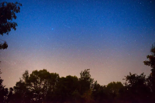 Puesta Sol Noche Cielo Azul Oscuro Bosque Con Estrellas Brillantes — Foto de Stock