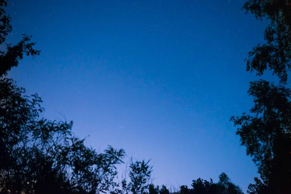 夕阳和黑夜 在森林中的黑暗的蓝天与明亮的星星作为空间背景 — 图库照片