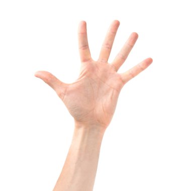 Kadın eli açık ve beyaz arka planda beş parmak izole edilmiş.