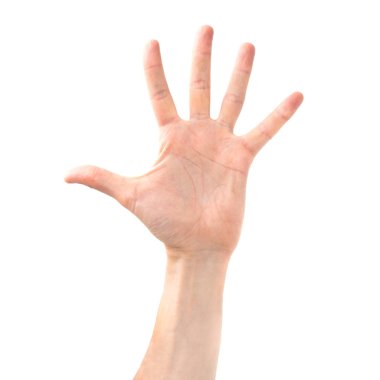 Kadın eli açık ve beyaz arka planda beş parmak izole edilmiş.