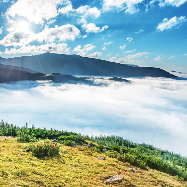 Montanhas Verdes Nas Nuvens Vista Paisagem Colinas Verdes Nevoeiro Pôr — Fotografia de Stock