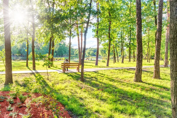 Donna Anziana Seduta Una Panchina Legno Bellissimo Parco Verde Soleggiato — Foto Stock