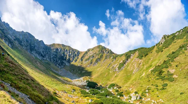 Panorama Con Paesaggio Con Gamma Verdi Montagne Soleggiate — Foto Stock