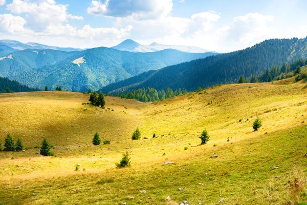 Paesaggio Montagne Blu Colline Gialle Con Alberi Macchie Luce Solare — Foto Stock