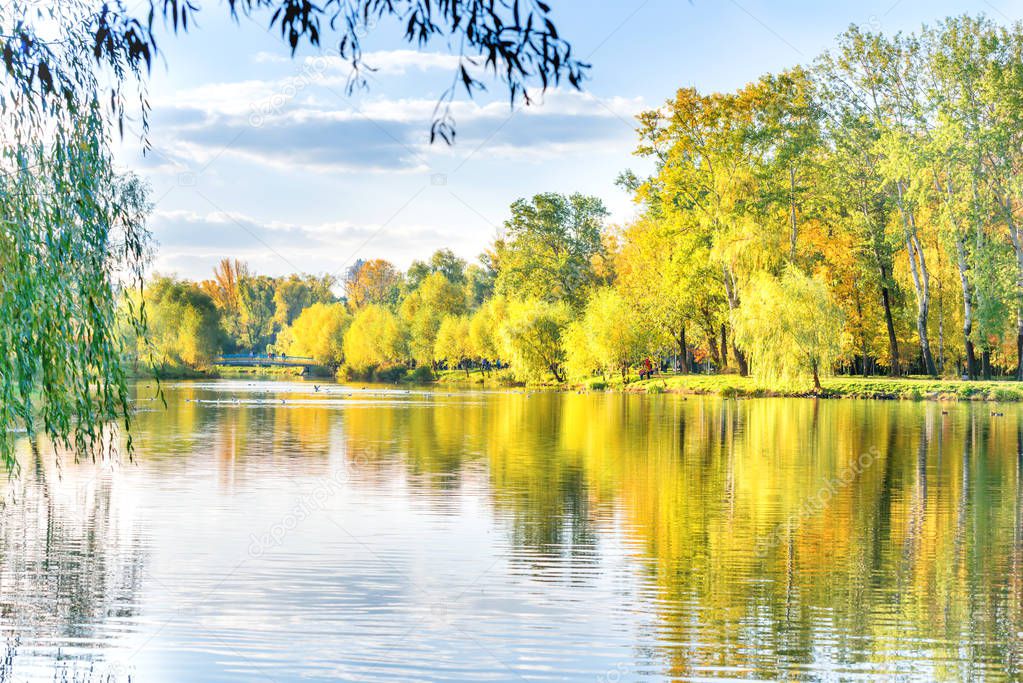 Lake with birds in the autumn city park with walking people