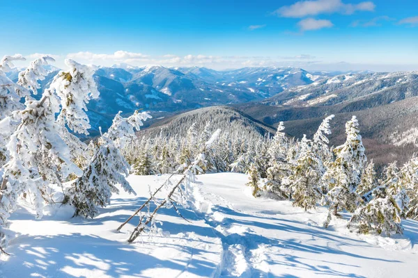 雪山上的冬景 — 图库照片
