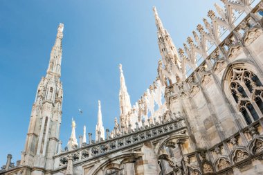 Milano 'daki Duomo Gotik Katedrali' nin çatısındaki mermer heykeller.