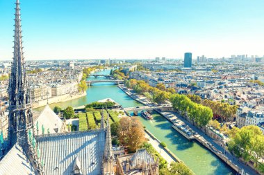 Paris cityscape Seine Nehri, hava mimarisi, çatılar ve şehir manzaralı