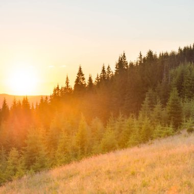 Orman ve büyük parlayan güneş ile dağlarda günbatımı