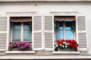 Paris windows Montmartre sokak çiçekli