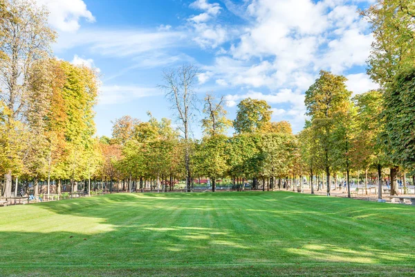 Grönt Fält Med Träd Tuilerierna Paris Frankrike — Stockfoto