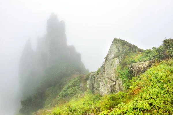 山上的雾 有岩石和潮湿的草地的山峰 — 图库照片