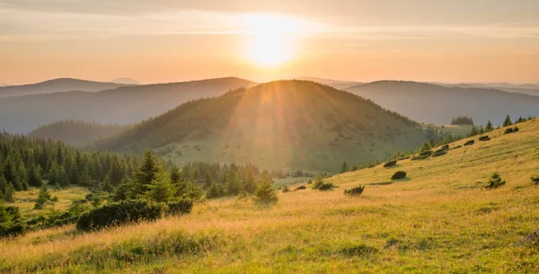 Sonnenuntergangspanorama Den Bergen Mit Wald Grünem Gras Und Großer Strahlender — Stockfoto