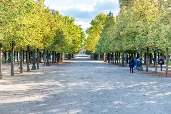 Sikátor Zöld Fákkal Tuileries Kertben Párizsban Franciaországban — Stock Fotó