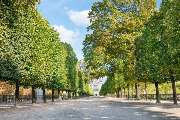 Paris Fransa Tuileries Bahçesinde Yeşil Ağaçlı Sokak — Stok fotoğraf