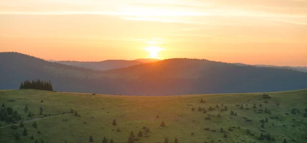 Panorama Pôr Sol Nas Montanhas Com Floresta Grama Verde Grande — Fotografia de Stock