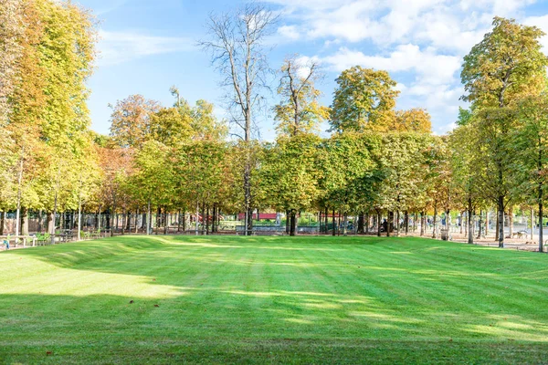 Campo Verde Con Alberi Nel Giardino Delle Tuileries Parigi Francia — Foto Stock