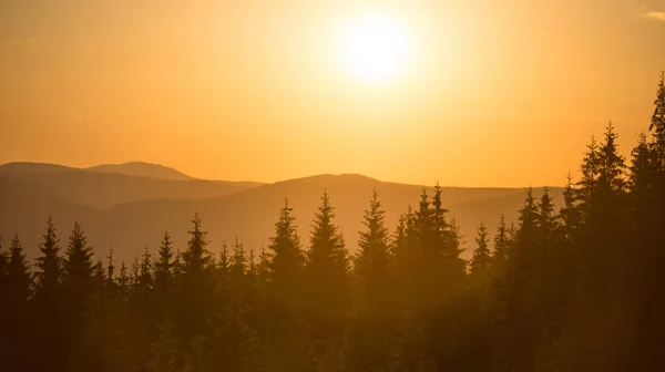 Panorama Del Tramonto Montagna Con Bosco Grande Sole Splendente — Foto Stock