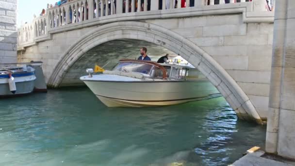 Los Turistas Que Divierten Viaje Góndola Con Gondolero Navegando Bajo — Vídeos de Stock
