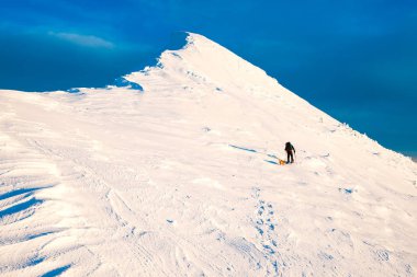 Karlı dağ tepesinde bir yamaçta günbatımı akşamları tırmanma köpekle dağcı