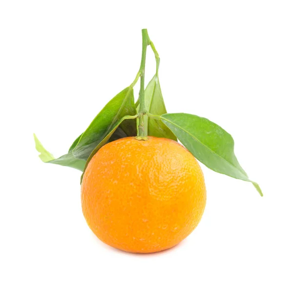 Mandarina Laranja Com Folhas Verdes Isoladas Fundo Branco — Fotografia de Stock