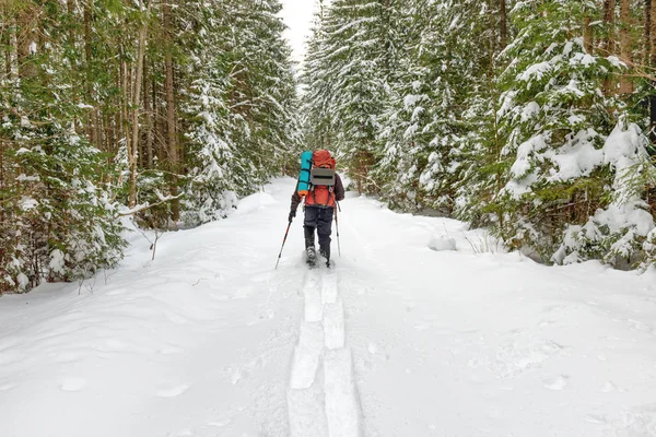 Rückansicht Eines Mannes Mit Rucksack Der Tiefschnee Den Winterwald Fährt — Stockfoto