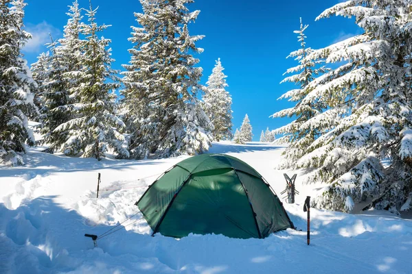 Green Tent Snow Mountains Winter Forest Pine Trees — Stock Photo, Image