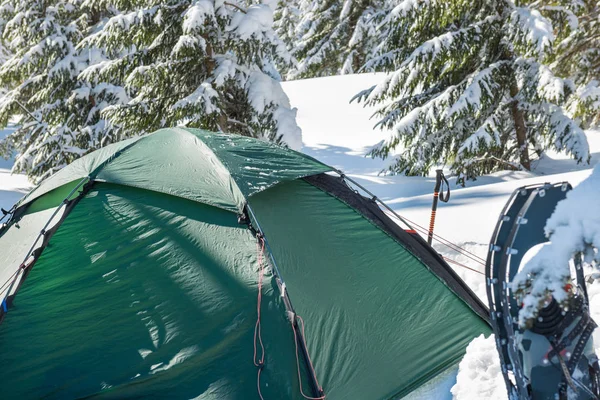 Green Tent Snow Mountains Winter Forest Pine Trees — Stock Photo, Image