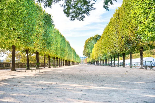 Paris Fransa Tuileries Bahçesinde Yeşil Ağaçlı Sokak — Stok fotoğraf