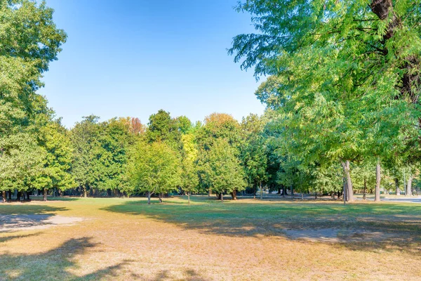 Stadtpark Mit Grünem Rasen Großen Bäumen Und Ruhenden Menschen — Stockfoto
