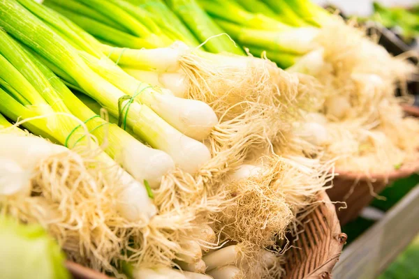 Sträuße Frischer Grüner Zwiebeln Stand Des Bauernmarktes — Stockfoto