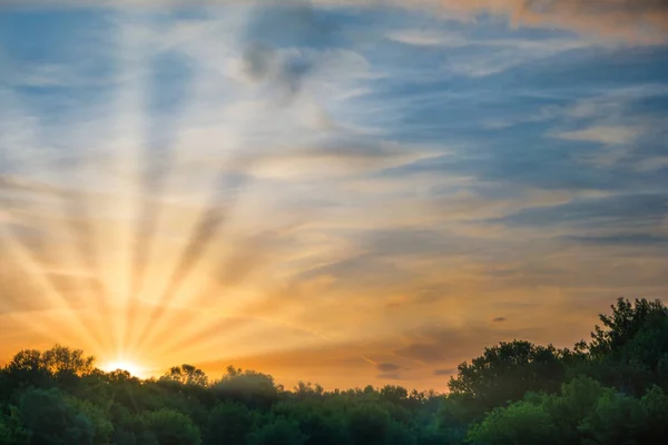 Pôr Sol Sobre Silhueta Floresta Céu Dramático Com Raios Sol — Fotografia de Stock