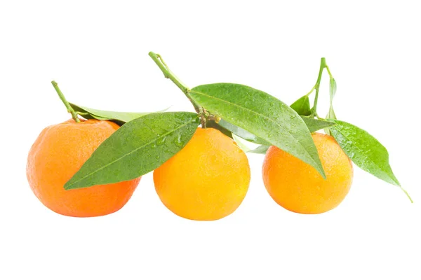 Mandarinas Naranjas Con Hojas Verdes Aisladas Sobre Fondo Blanco —  Fotos de Stock