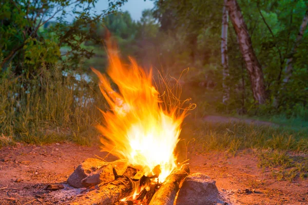 Bonfire near water in forest at night