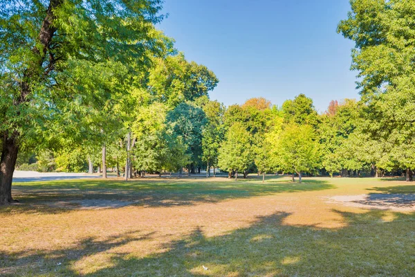 Stadspark Met Groen Gazon Grote Bomen Rustende Mensen — Stockfoto