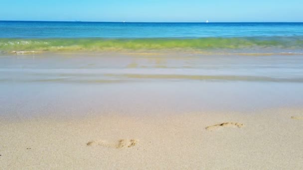 Песчаный Пляж Красивый Волнистый Океан — стоковое видео