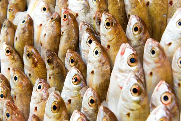 Montón de pescado en el mercado de mariscos —  Fotos de Stock